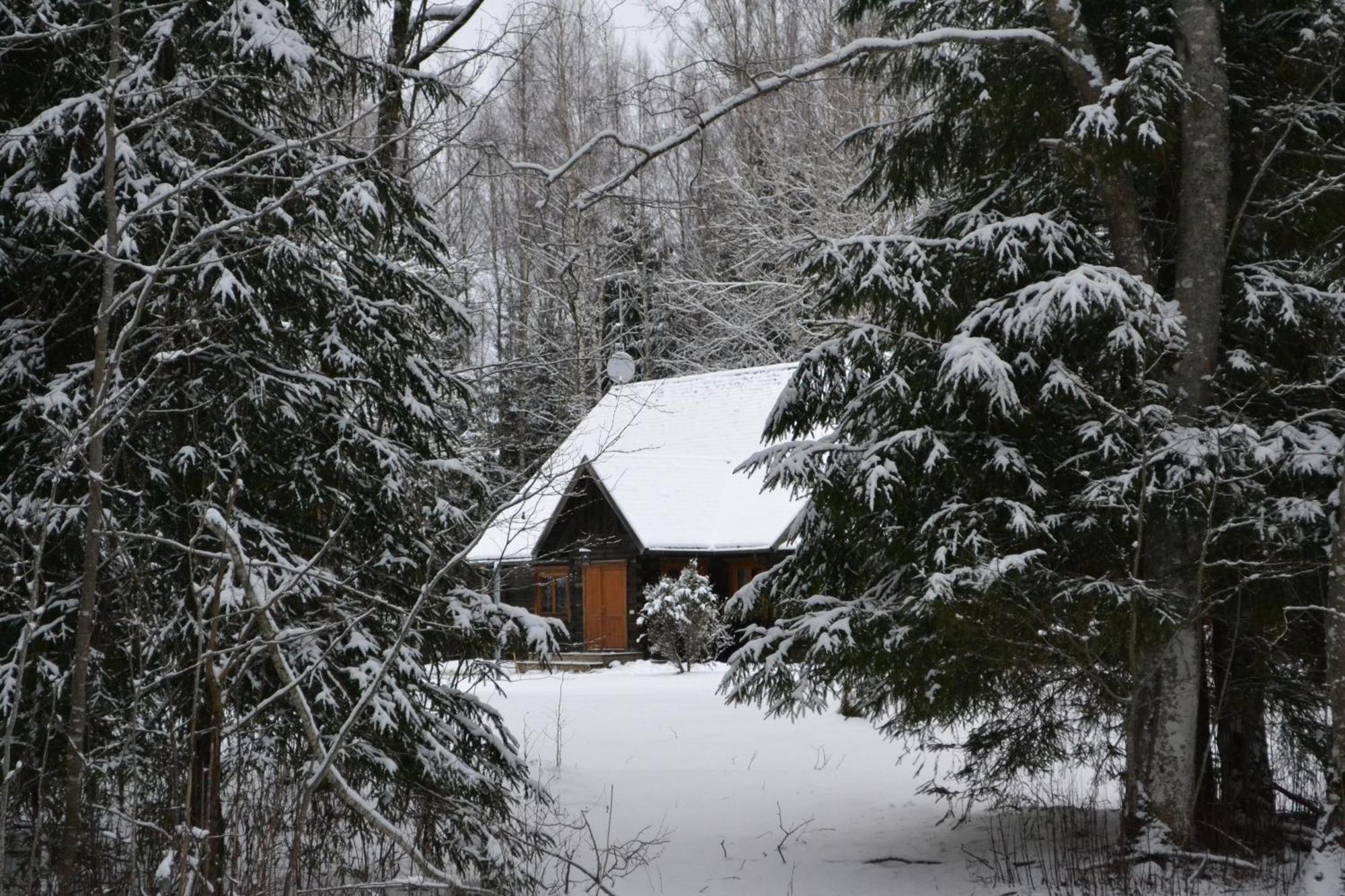 Toosikannu Nature Resort Käru 외부 사진